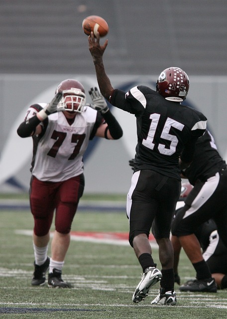 也战胜了自 也战胜了自