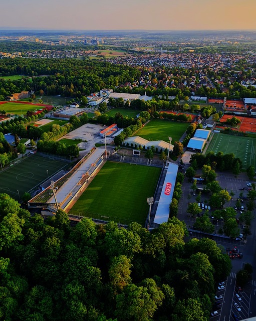 能够带领球 能够带领球