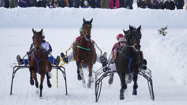 赢得了宝贵 赢得了宝贵
