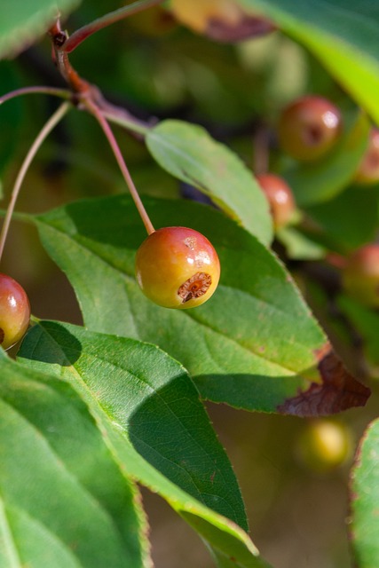 得应对不足 得应对不足
